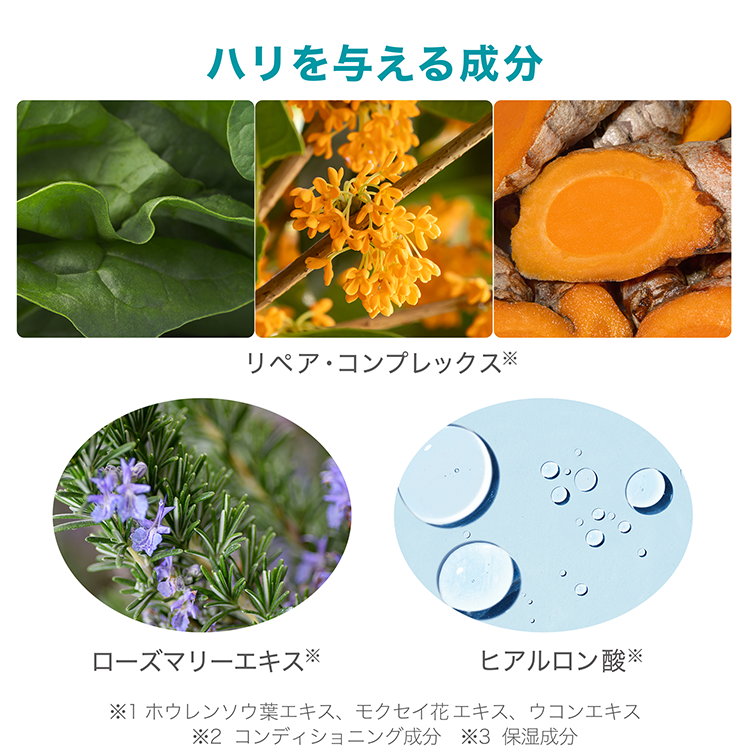 アーティストリースキン NT™ ハリクリーム | アーティストリー