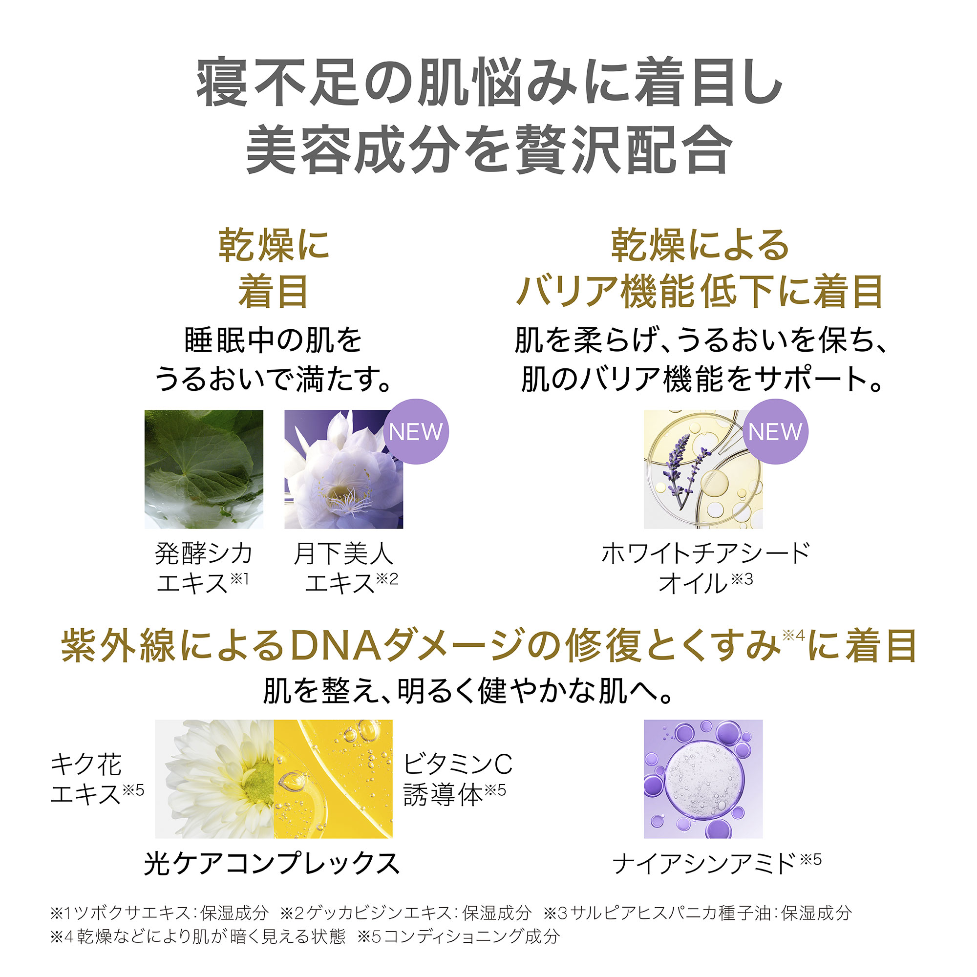 アーティストリー スキン NT™ スリーピング マスク | アーティストリー