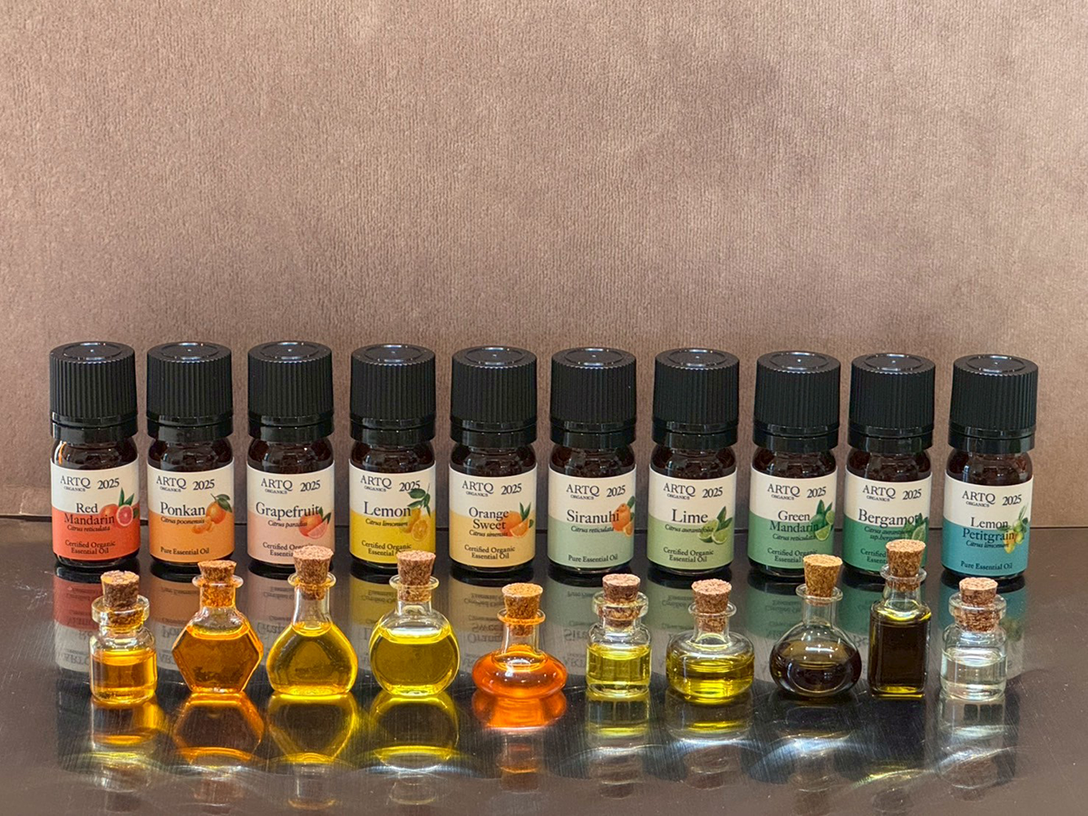 シトラスフェア2025 | ARTQORGANICS（アロマティーク オーガニクス