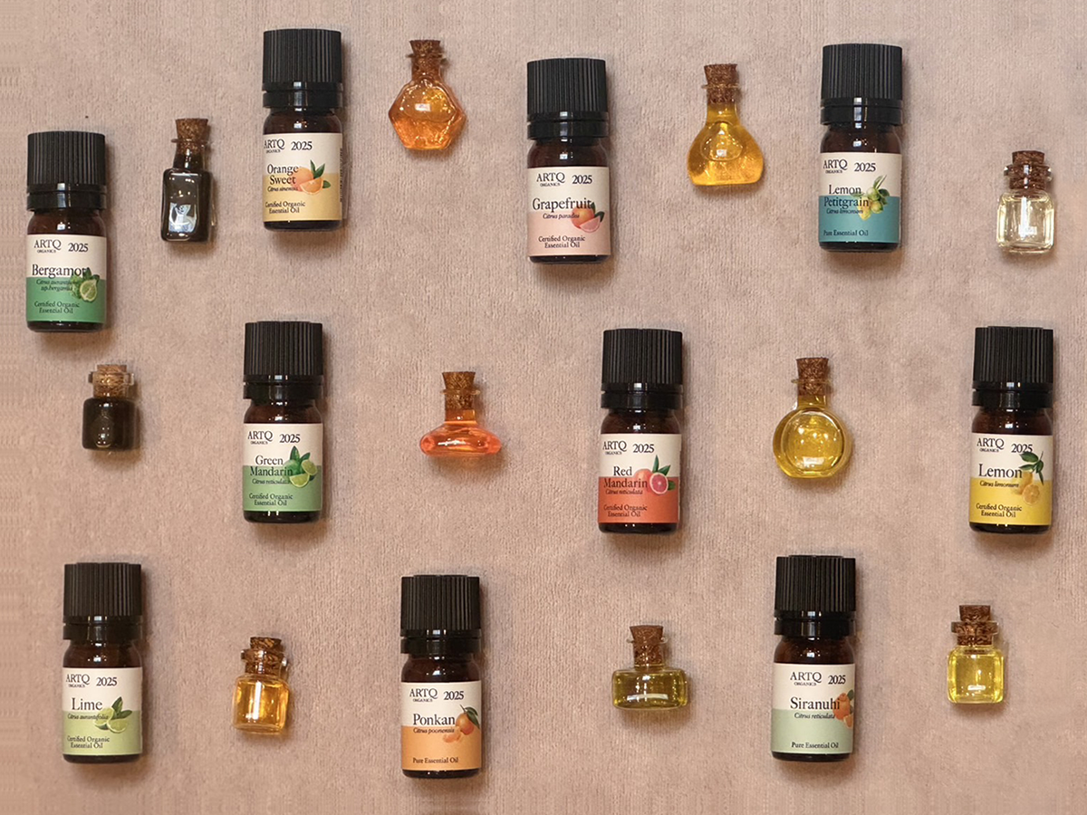 シトラスフェア2025 | ARTQORGANICS（アロマティーク オーガニクス