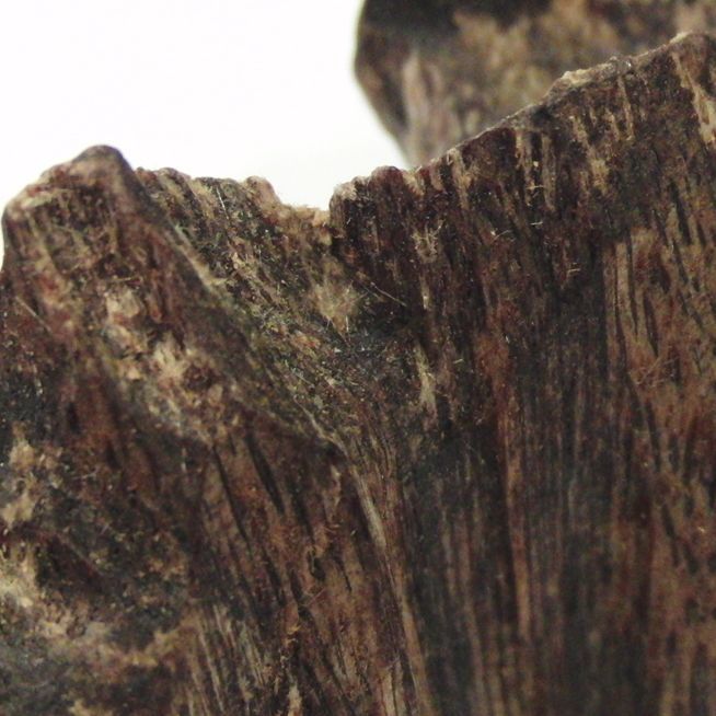 伽羅 原木 姿 香道・聞香用-伽羅(きゃら)