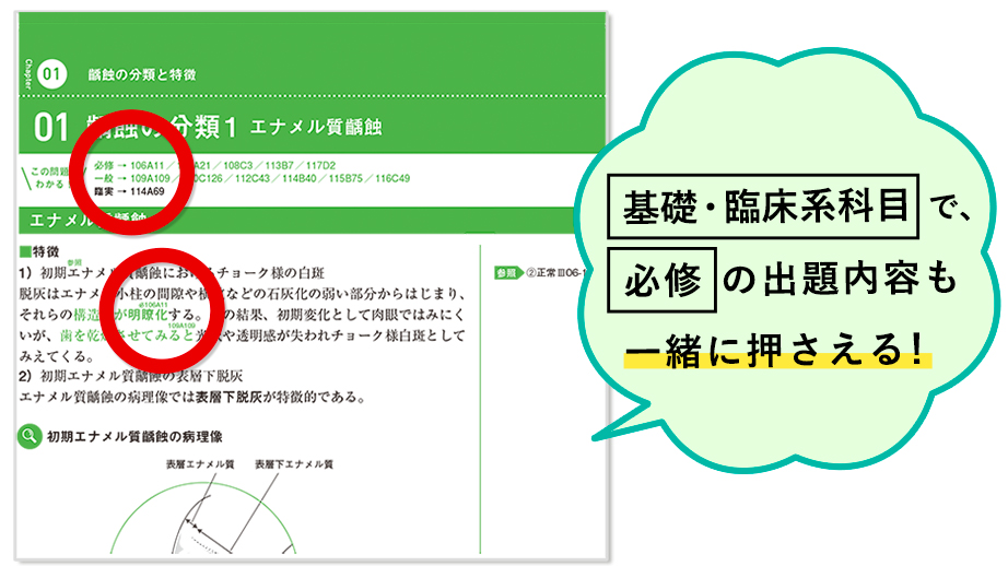 NewText | 麻布デンタルアカデミー