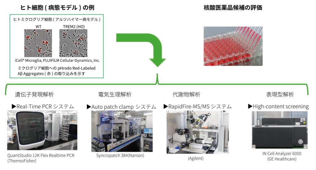 薬効評価の課題に対するソリューション - Axcelead Drug Discovery