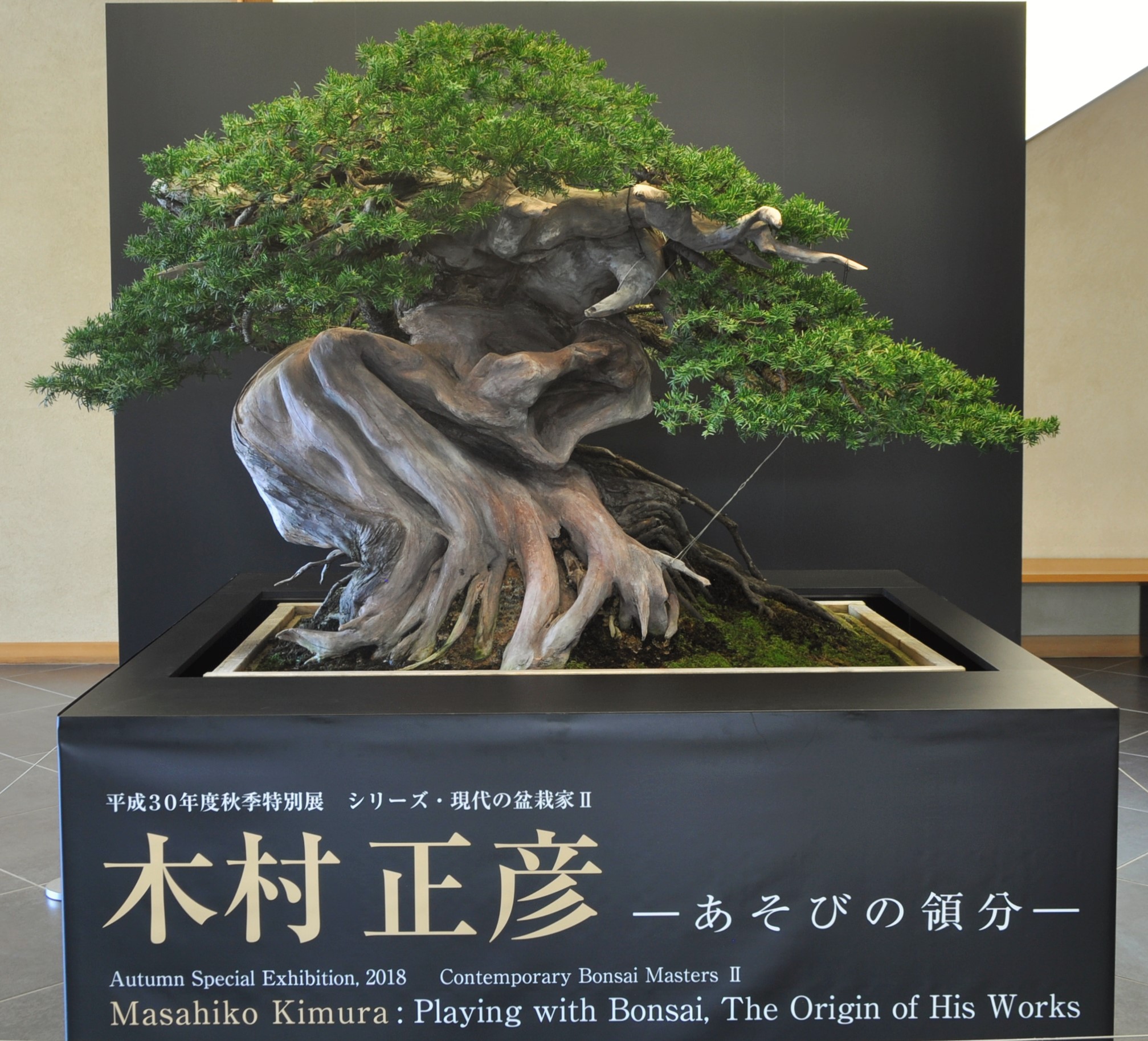 さいたま市大宮盆栽美術館