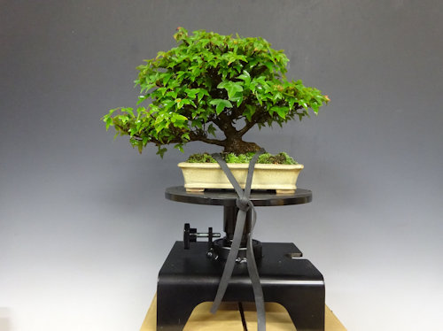 回転作業台 小さい方 【 道具 22 D － 01 】 - 小品盆栽専門店 湘風園