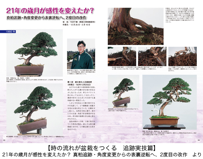 匠の技 盆栽技術集 | 盆栽、盆栽書籍、盆栽鉢の通販│近代出版
