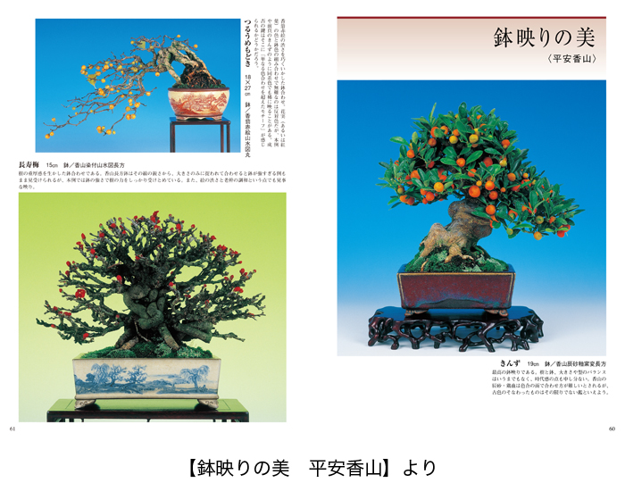 樹鉢作家のレジェンド 東福寺・涌泉・香山を探る2冊セット | 盆栽