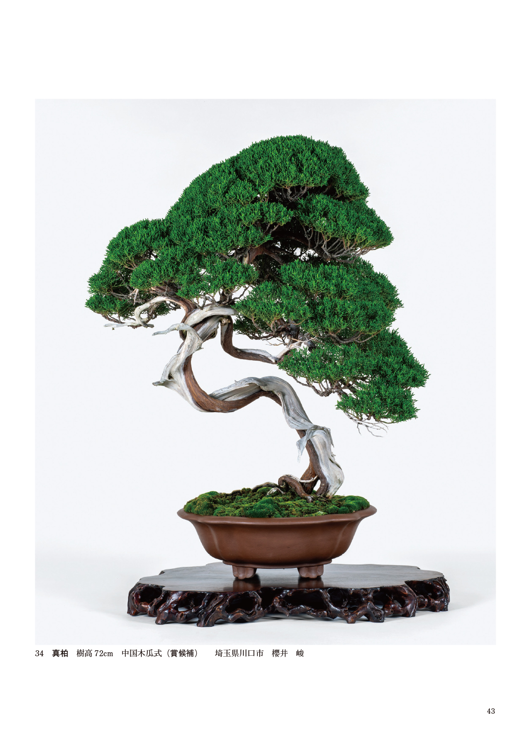 第49回 日本盆栽作風展 記念帖 | 盆栽、盆栽書籍、盆栽鉢の通販│近代出版