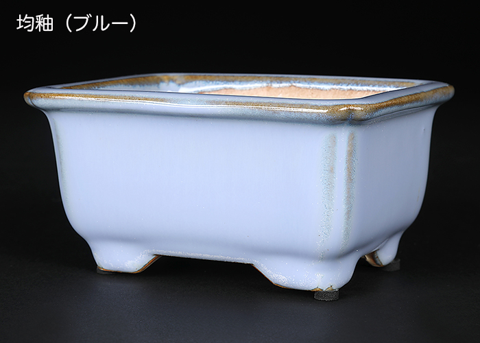 広東隅入長方鉢〔石峰雨竹〕 | 盆栽、盆栽書籍、盆栽鉢の通販│近代出版