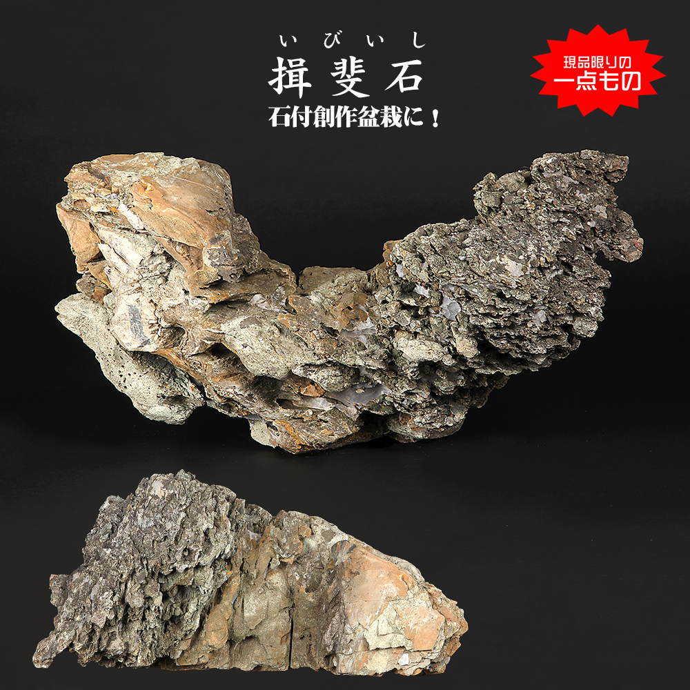 水石 | 盆栽、盆栽書籍、盆栽鉢の通販│近代出版