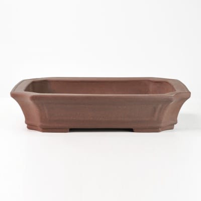 紫泥長方浅型 盆栽鉢 12号 鉢幅36cm×奥行き24cm×高さ6.5cm を販売