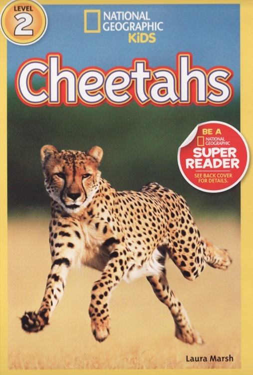 Cheetahs (National Geographic Kids Readers Level 2)