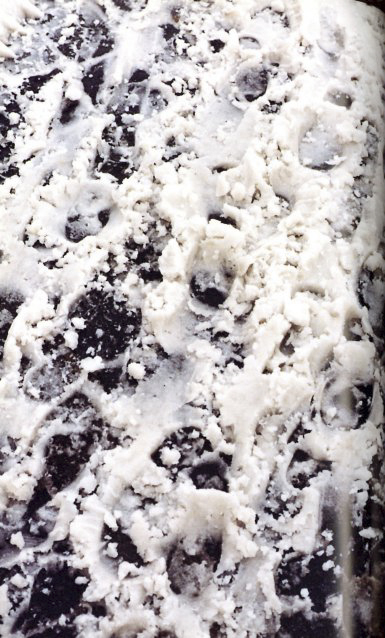 Wolfgang Tillmans Wako Book 1999 / Wolfgang Tillmans | 小宮山書店