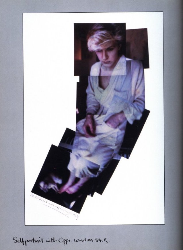 PERSPECTIVES Polaroids 82-84 / David Sylvian | 小宮山書店 KOMIYAMA