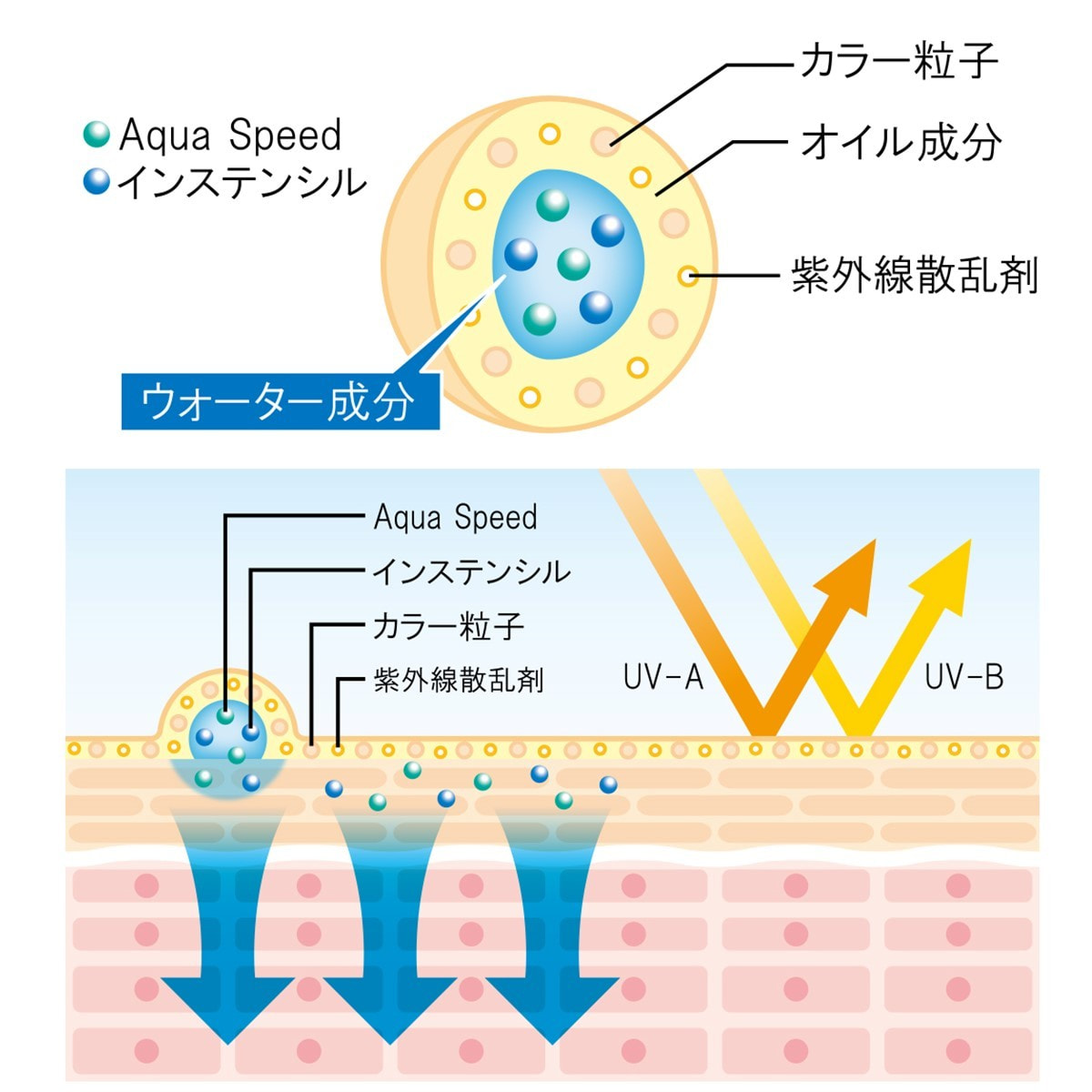 ラボプラス RUVカラー【ピンクナチュラル】30g【店販用】の卸・通販