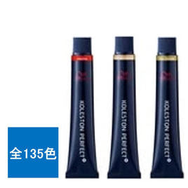 輝髪 ザクロペインター ナチュラルブラック A 1000gの卸・通販