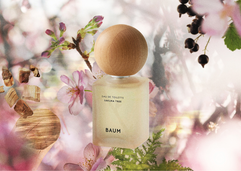 2026.1.15 さくらの蕾がほころぶ瞬間の、樹木の息吹を感じる香り。数量