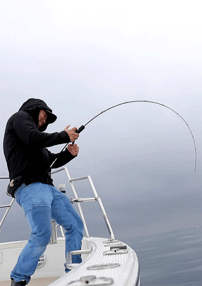 シーフロアコントロール レイピア RP-603-2 SEAFLOOR CONTROL RAPIER