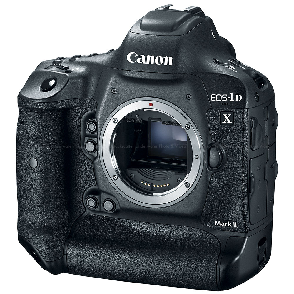 Canon EOS-1D X Mark II DSLR Pro Camera Body