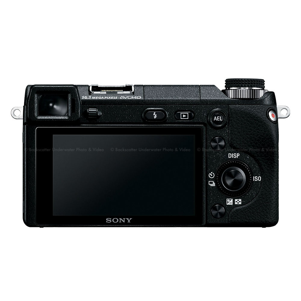 sn-nex-6l-b_2.jpg?resizeid=6&