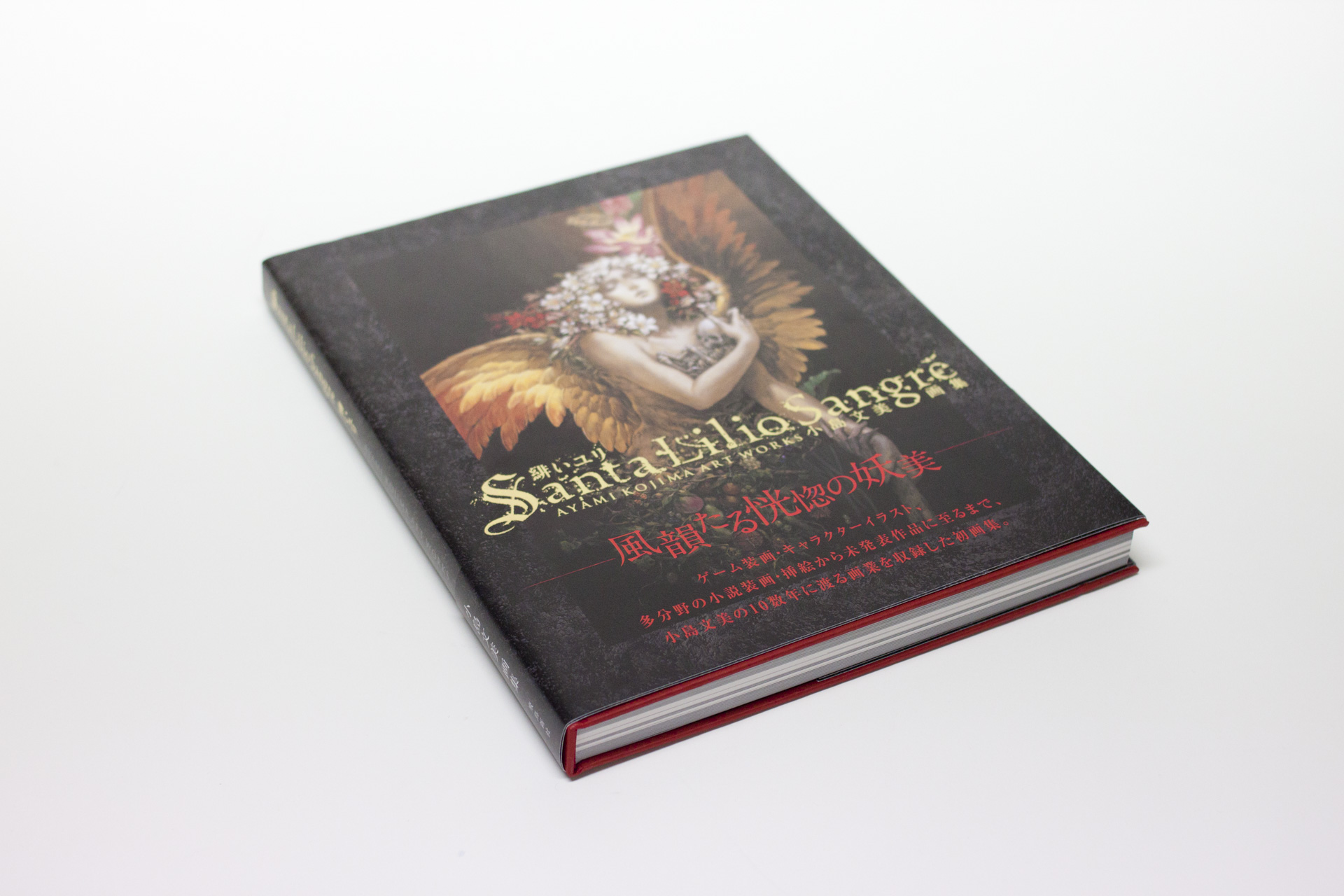 小島文美画集 『Santa Lilio Sangre 緋いユリ』 | デザイナー｜アート