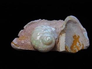 シェルオパールとは