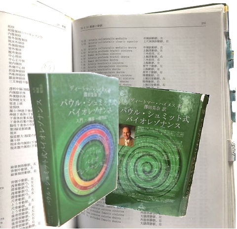 パウル・シュミット式バイオレゾナンスメソッドで波動調整を最適化する