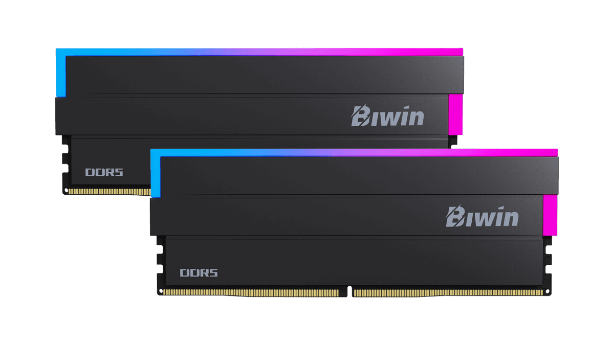 1-biwin-dw100-memory-black-1-