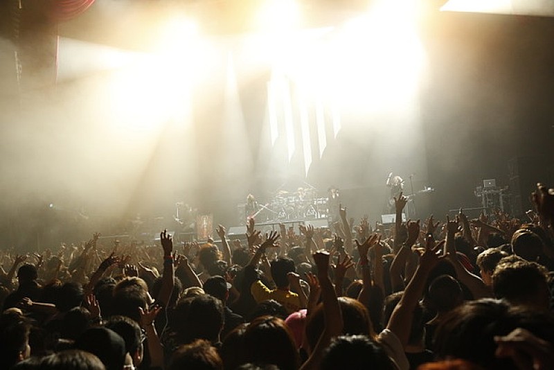 the GazettE 15周年記念公演【暴動区 愚鈍の桜】演奏曲リクエストを