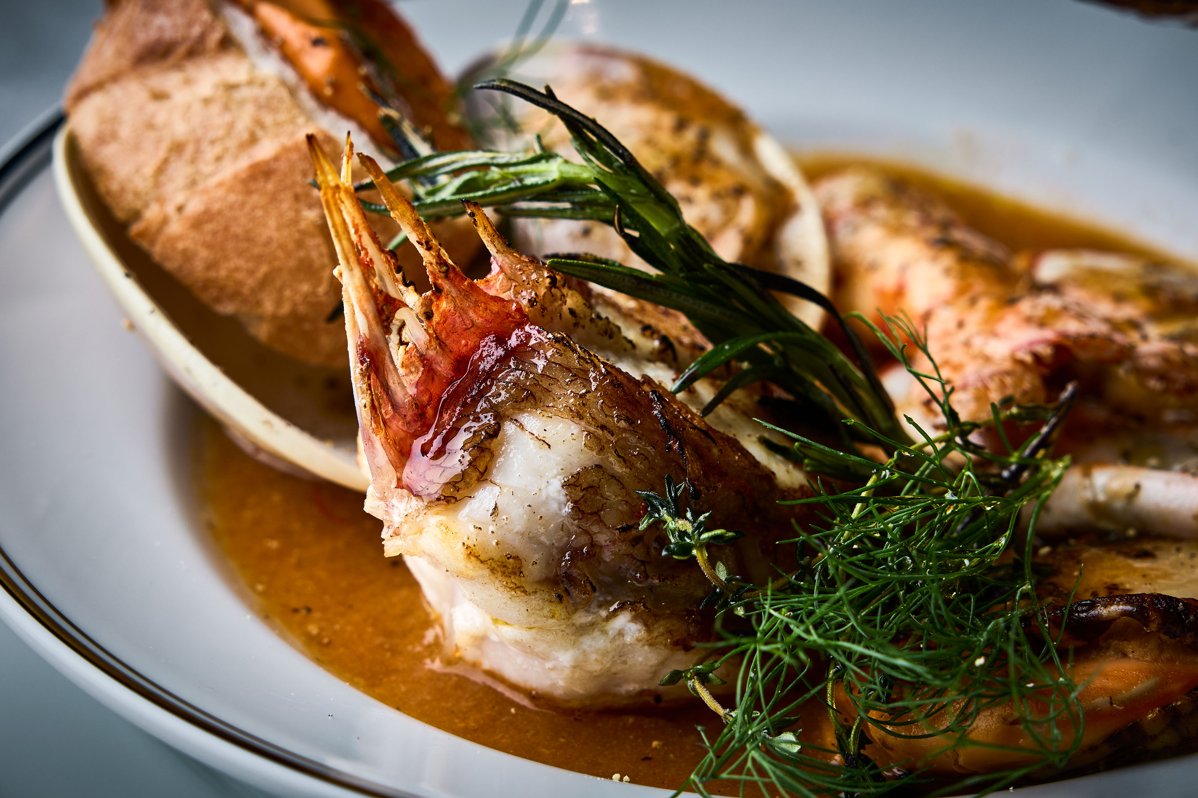 Eddie Jobson U.K. Revisited | YOKOHAMA | Billboard Live