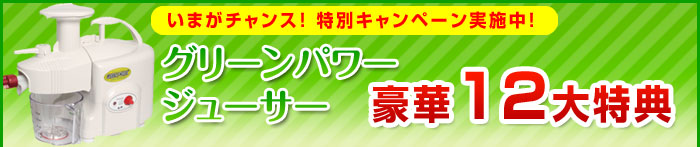 低速回転圧搾式ジューサー グリーンパワージューサー＆パーツ総合