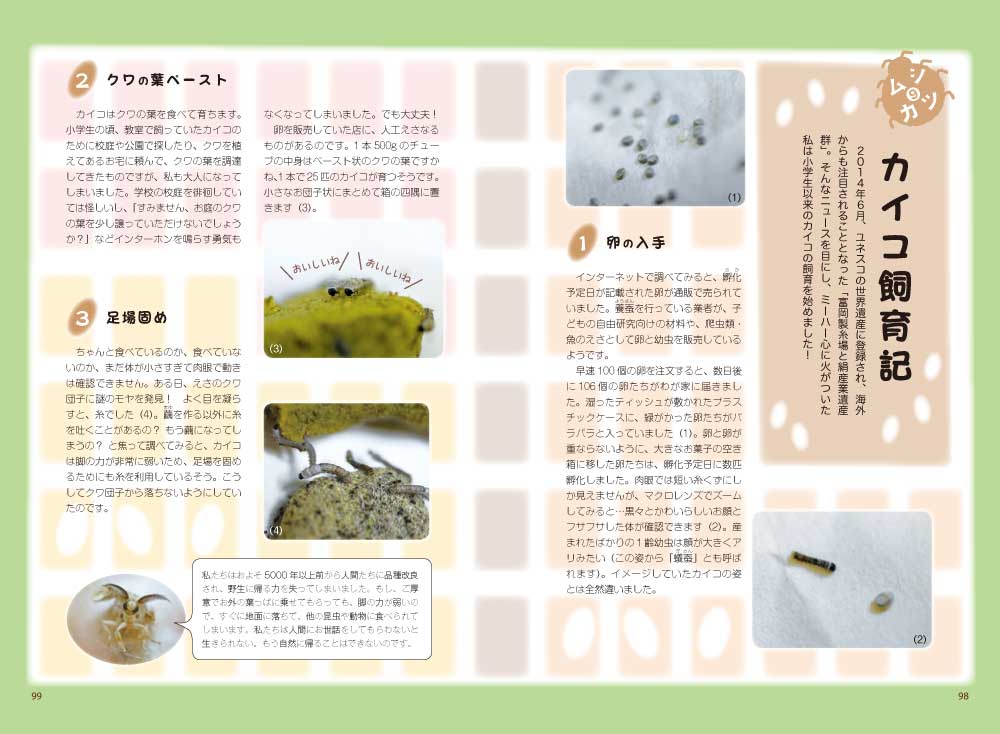 カブトムシゆかりの虫活！