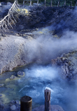 三重県総合博物館 北投石 Hokutolite