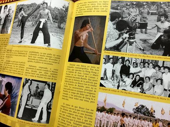 BRUCE LEE MANIA 15 ブルース・リーマニア15 ヨーロッパ同人誌