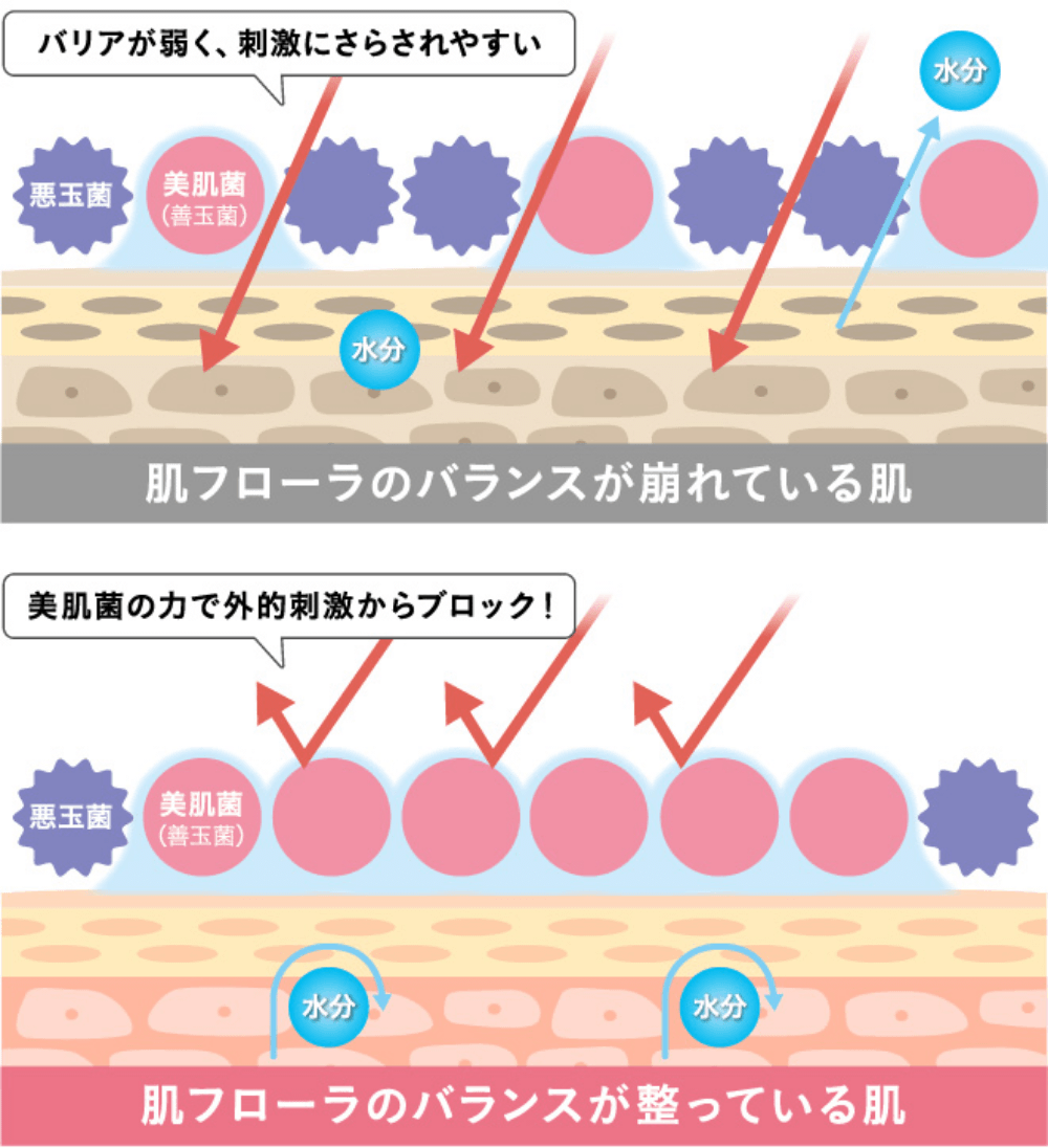 凜恋｜薬用 シャンプー＆トリートメント ミント＆レモン