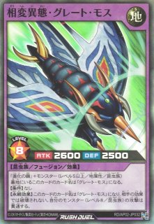 70726f647563742f79676f72645f61