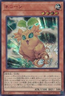 DDスケールサーベイヤー 赤シク 2枚 DDスケールサーベイヤー 赤シク 2