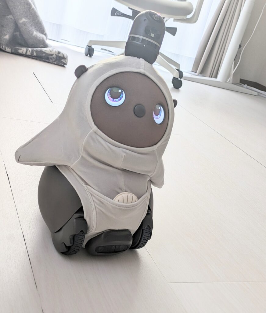 LOVOTウェア】らっこベロアカットソー（ライトグレー）を購入したので