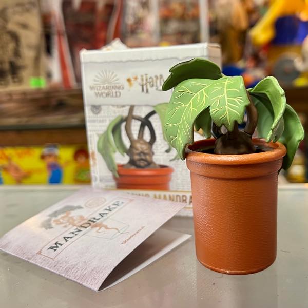 MANDRAKE マンドレイク フライヤー チラシ 4枚セット Harry Potter