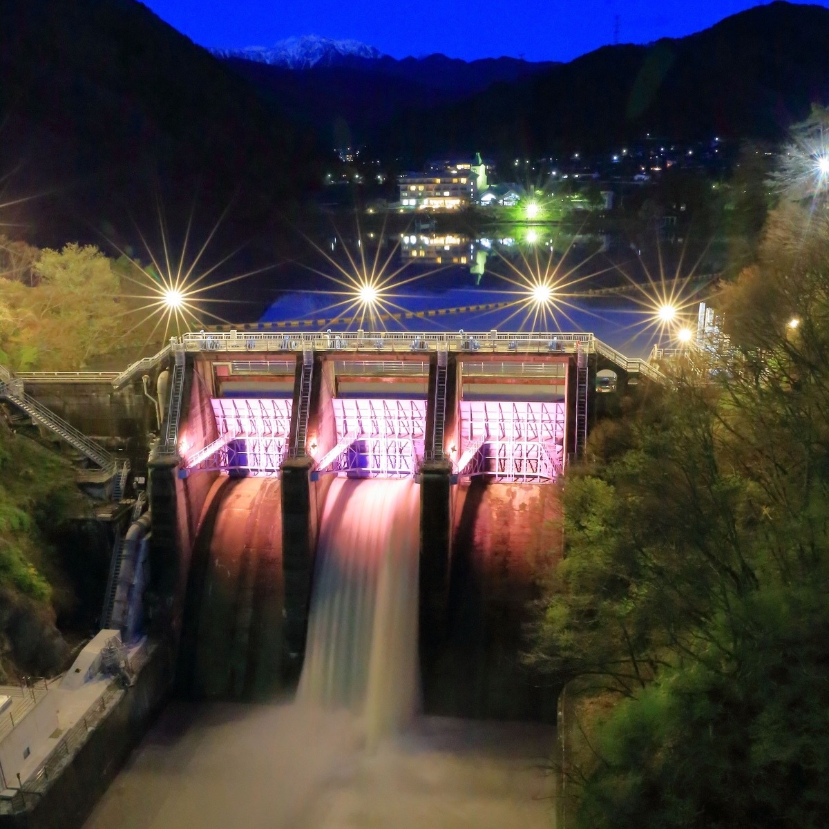 今年で開園150年。〈高遠城址公園〉のお花見情報2025 | Go! NAGANO