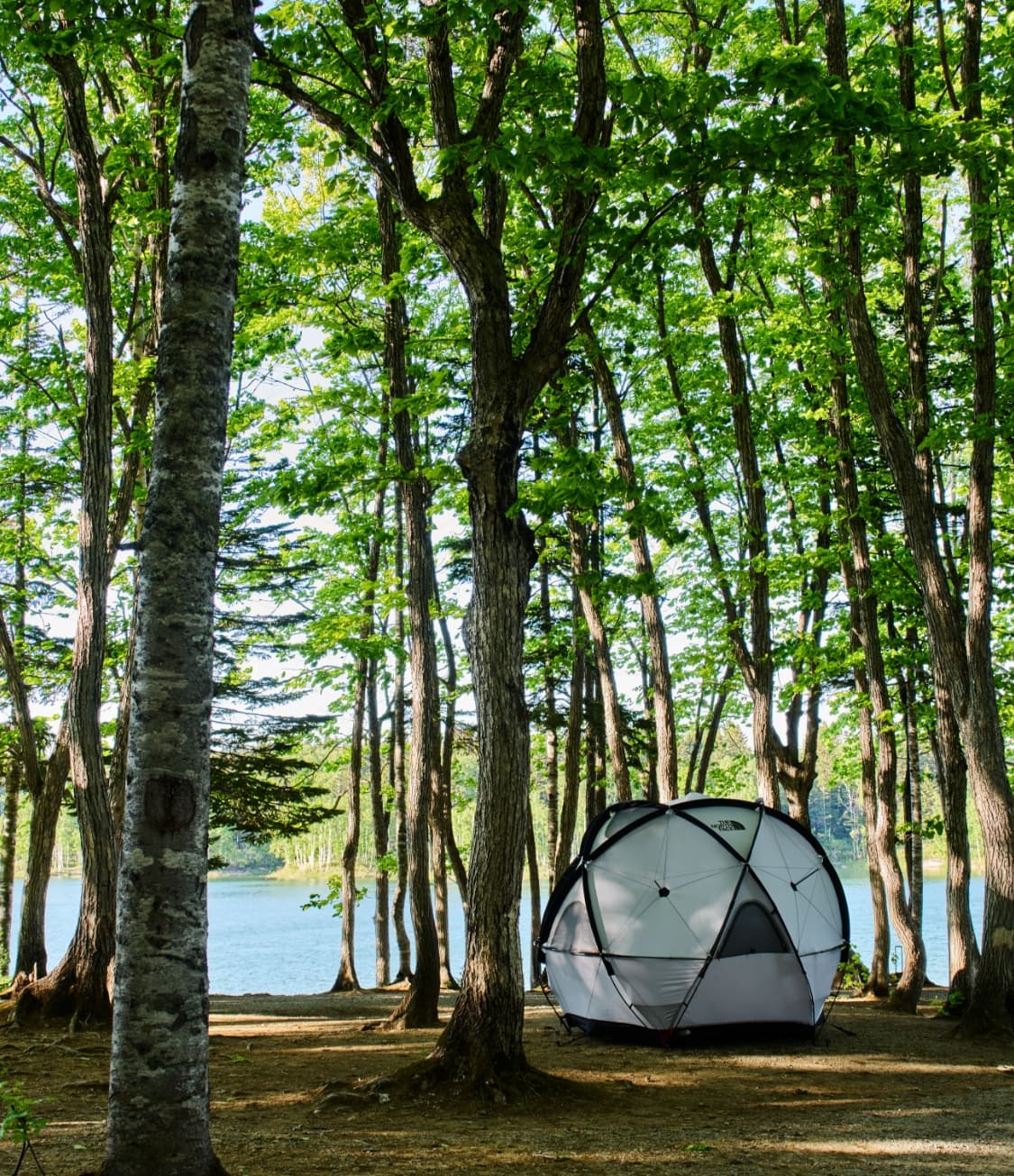 Geodome 4 | Online Camp Store | THE NORTH FACE CAMP
