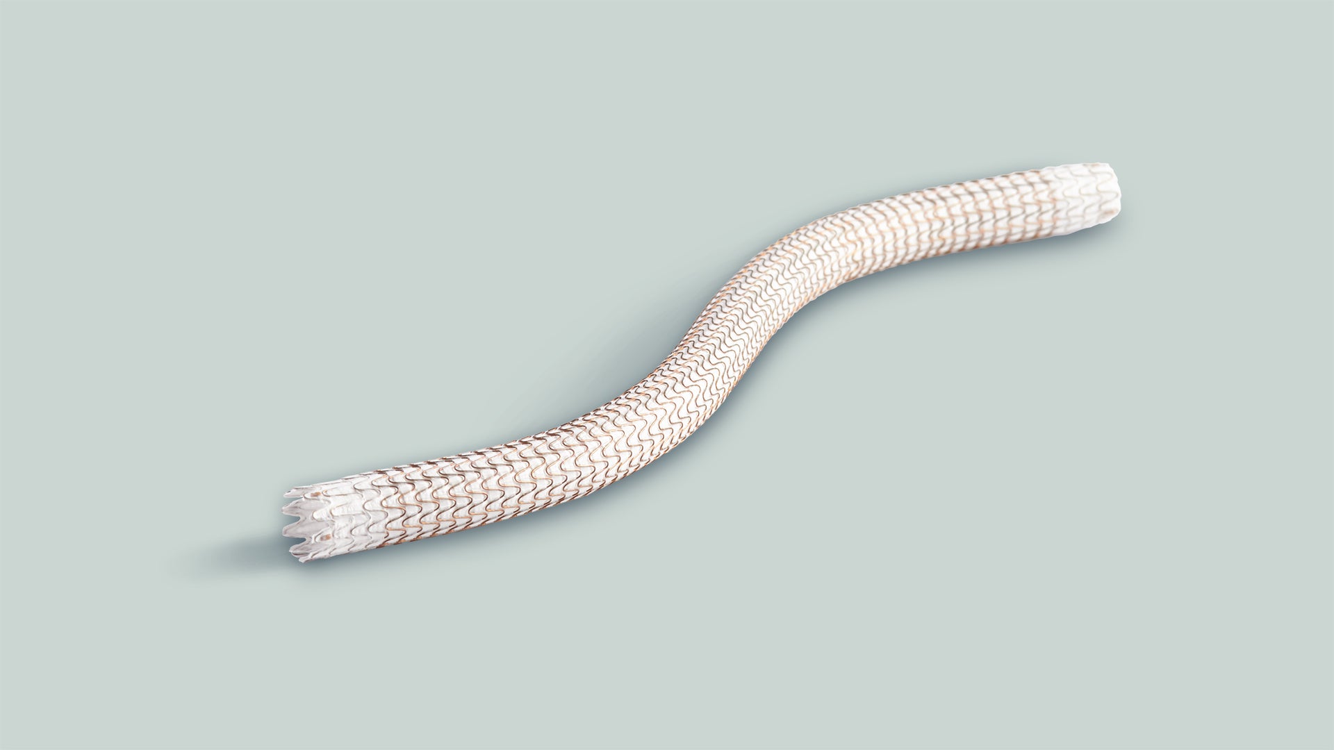 ゴア® バイアバーン® ステントグラフト | 日本ゴア メディカル製品