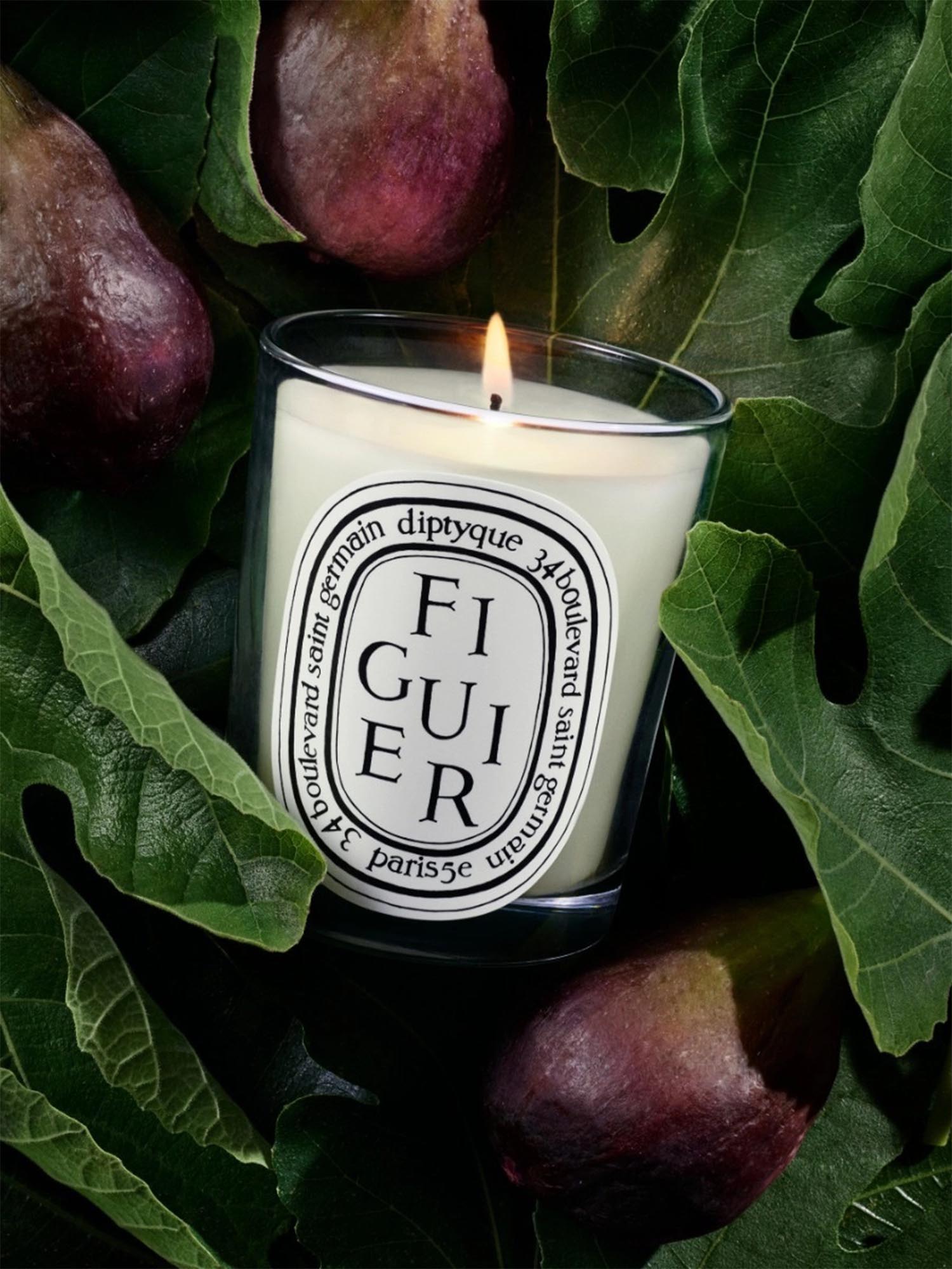 Figuier Candle – Gorsuch