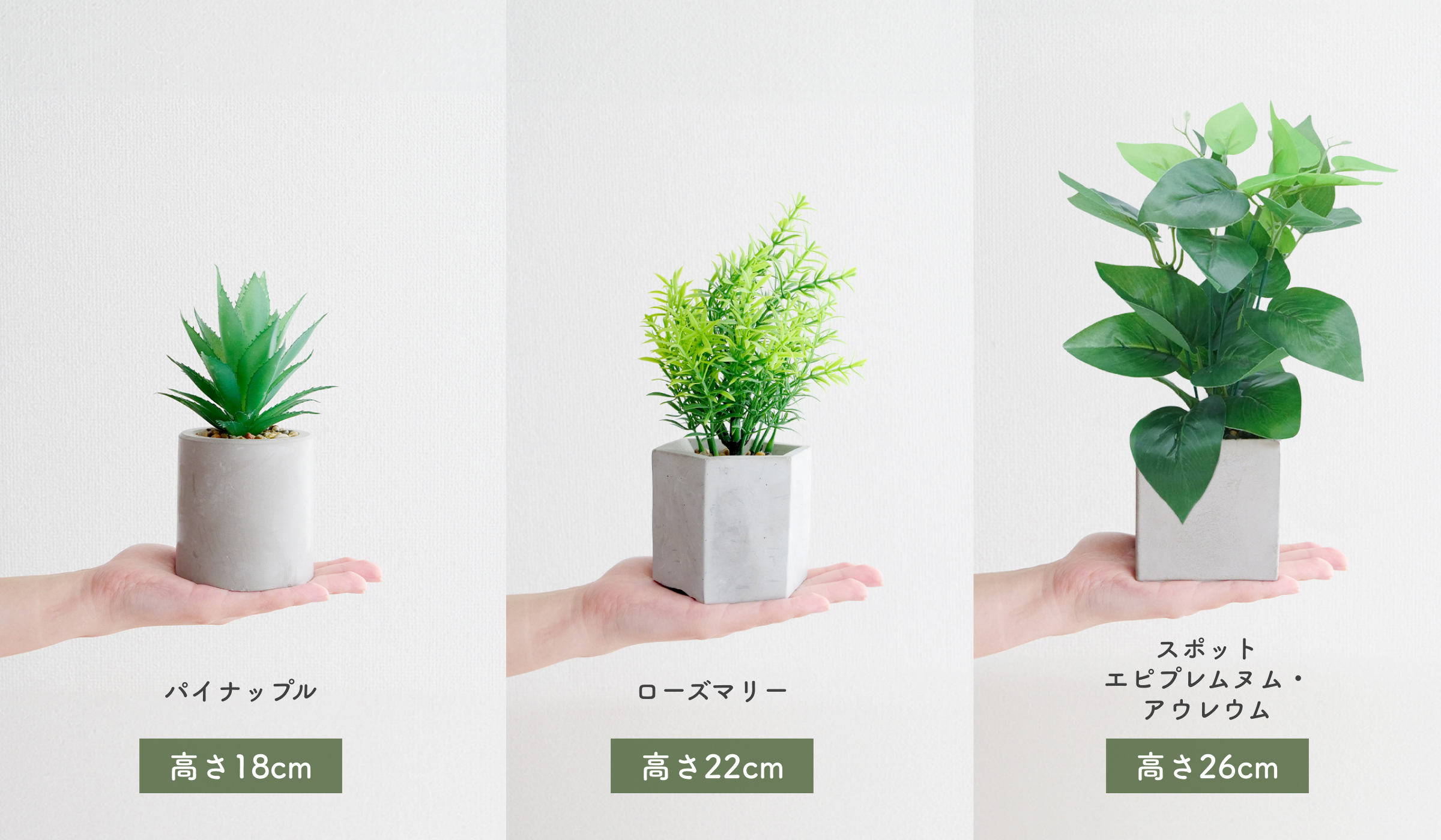 フェイクグリーン 3種セット AGY0603 | 商品一覧 | 株式会社GDT