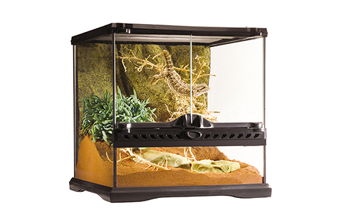 ヒョウモントカゲモドキ（レオパ）の飼育に必要なもの10点をご紹介