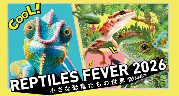 爬虫類情報 | 爬虫類用品・エキゾテラのジェックス