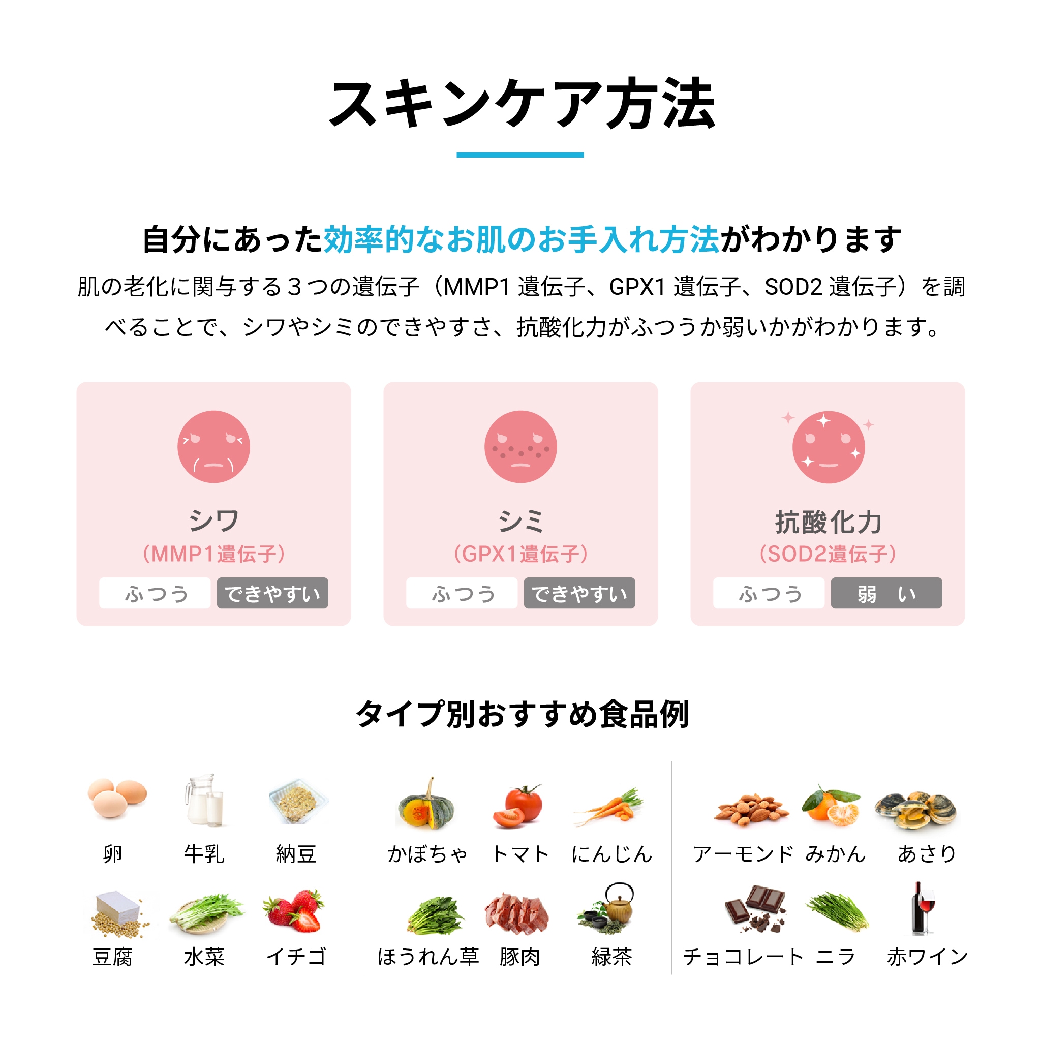 総合遺伝子検査キットGenesis2.0 Plus | 遺伝子検査のジーンライフ