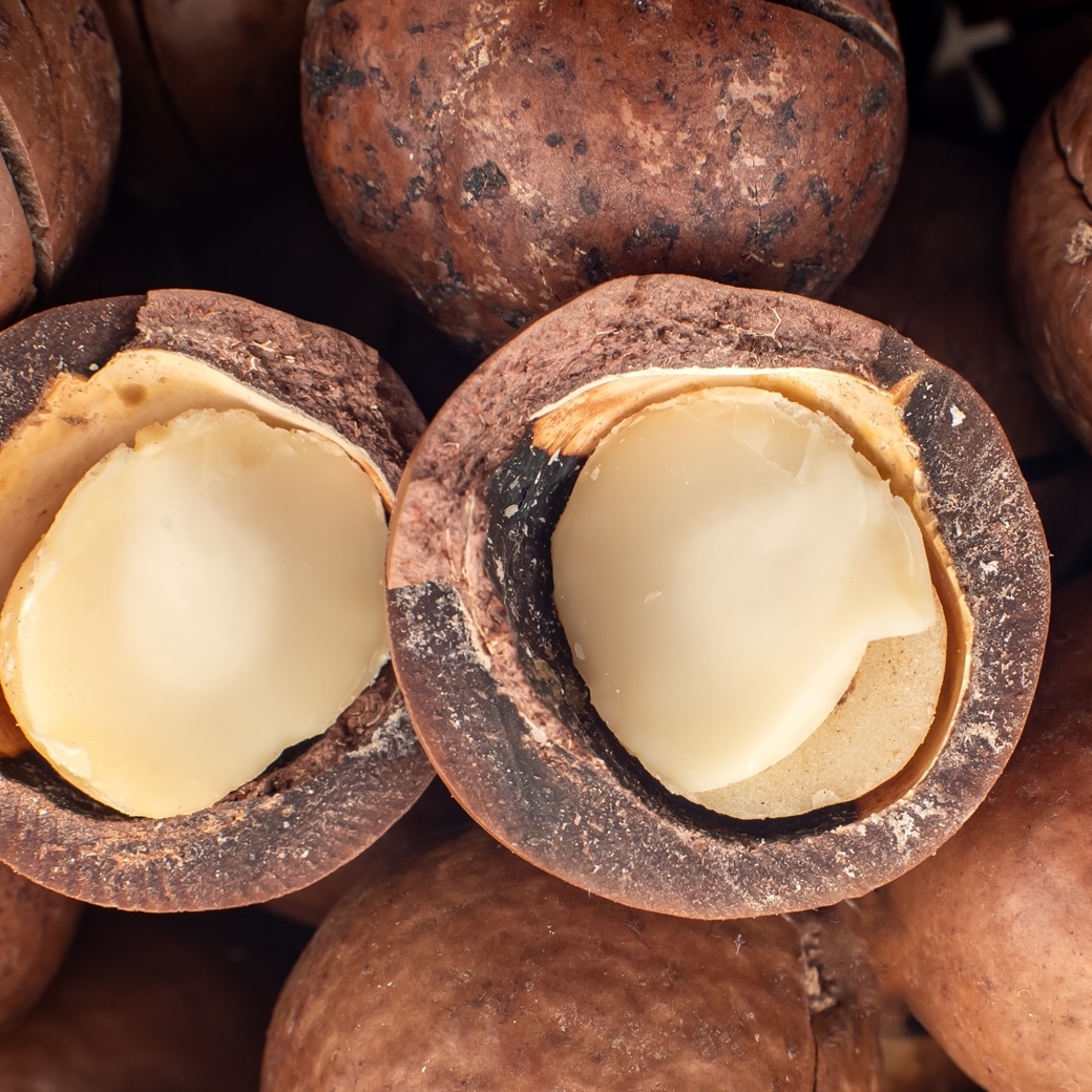 GAIAネット【取寄・火曜】 SETTLA GREEN マカデミアナッツ洗顔石鹸 80g