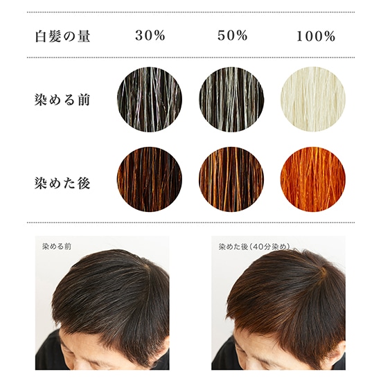 GAIAネットナイアード ヘナ+ハーブ 100g(100g): ヘアケアオーガニック