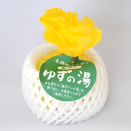 GAIAネット木頭村 ゆず湯 25g×1袋(1袋): 浴用品/ボディケア/マウス